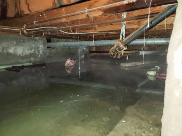 Best Commercial water damage restoration  in Buckner, MO
