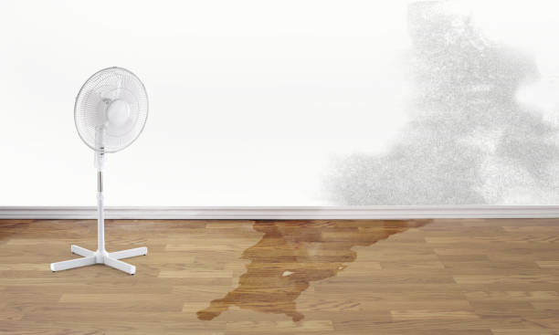 Best Local water damage restoration  in Buckner, MO