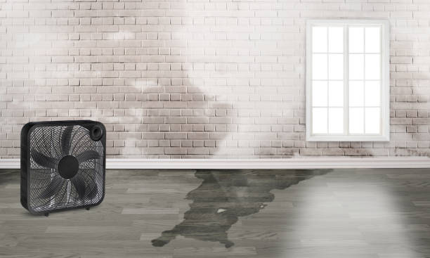 Best 24/7 water damage repair  in Buckner, MO