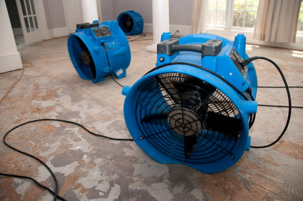 Best Local water damage restoration  in Buckner, MO
