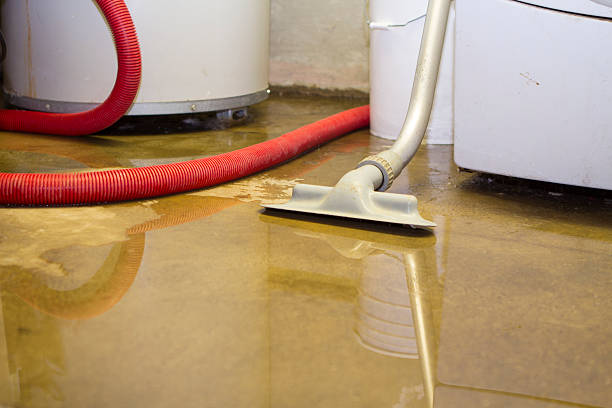 Best Basement water damage restoration  in Buckner, MO