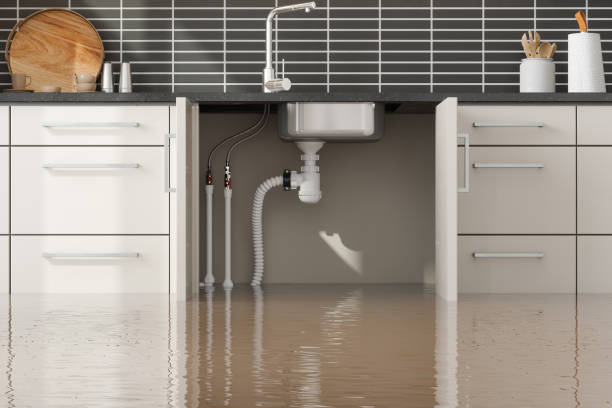 Best Sewage cleanup and water damage restoration  in Buckner, MO