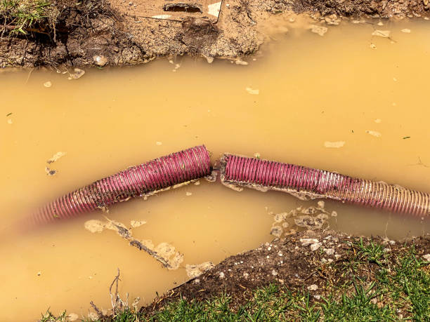 Best Mold removal after water damage  in Buckner, MO