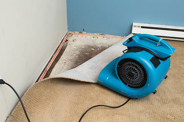 Best Basement water damage restoration  in Buckner, MO